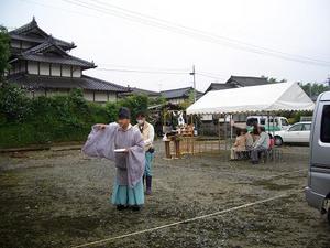 zitinsai.JPG