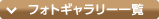 フォトギャラリー一覧