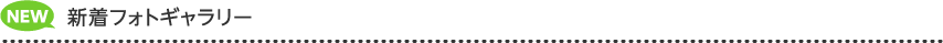 新着フォトギャラリー